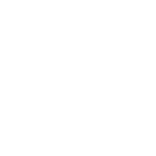 soul space logo