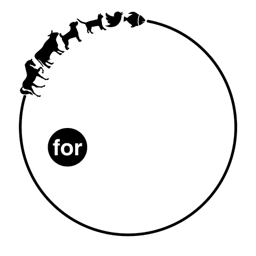 time for pet logo
